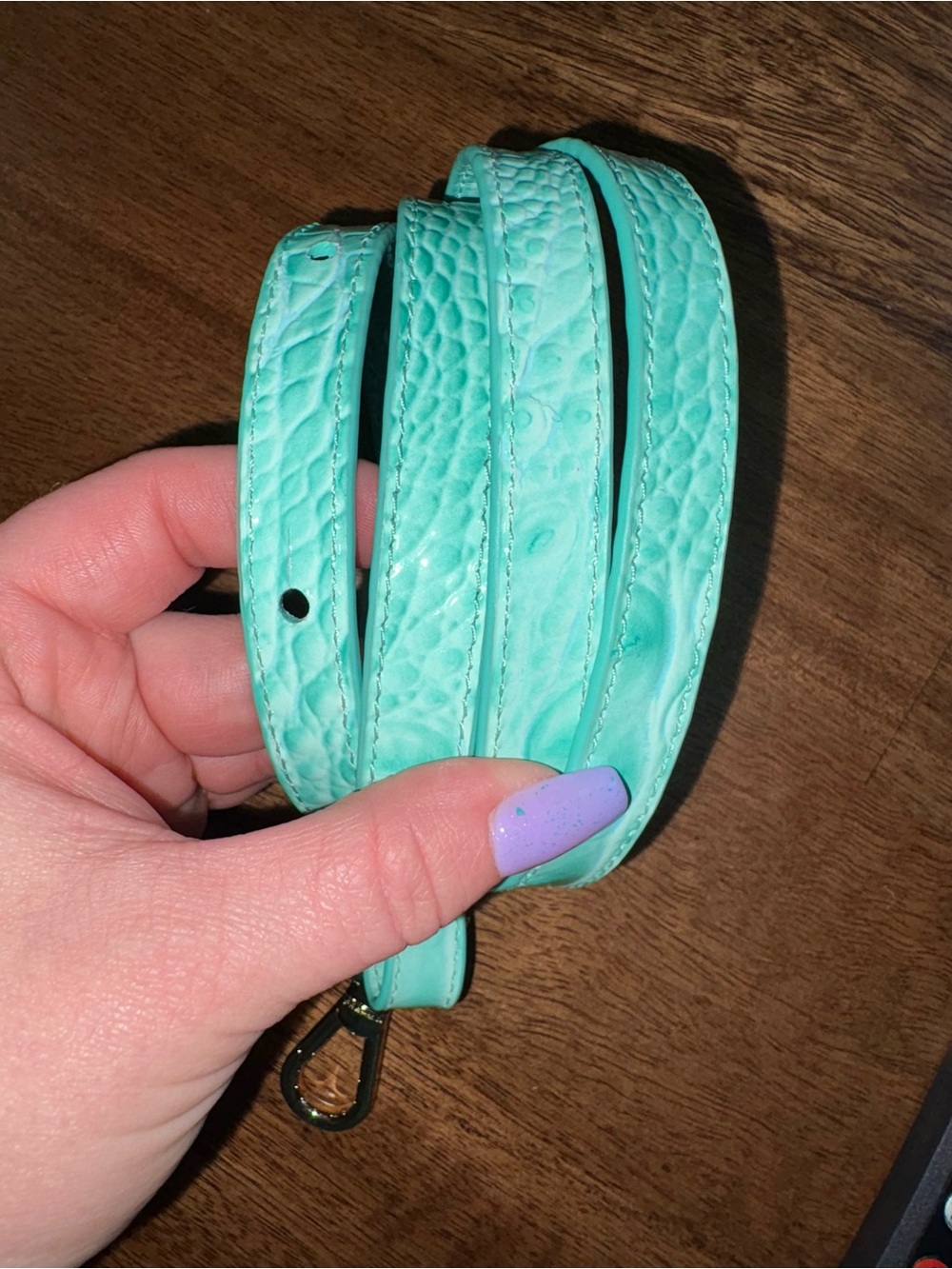 Brahmin NWT Duxbury - Jadeite - *Exclusive Design* - FRONT EYE - Cool Mint - Picture 11 of 16